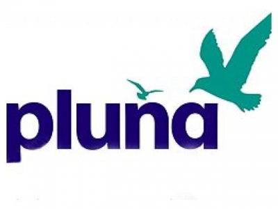 Pluna prepara reinicio de operativa para el viernes en la mañana