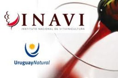  Wall Street Journal  destaca los vinos uruguayos