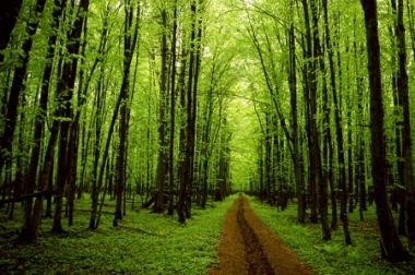 El turismo verde embellece y mejora el destino