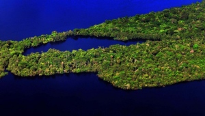 Ministerio de Turismo integra Plan de Prevención y Control de la Deforestación en la Amazonía