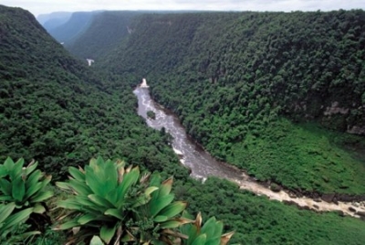 Descubre Guyana, sus mejores paseos y rincones