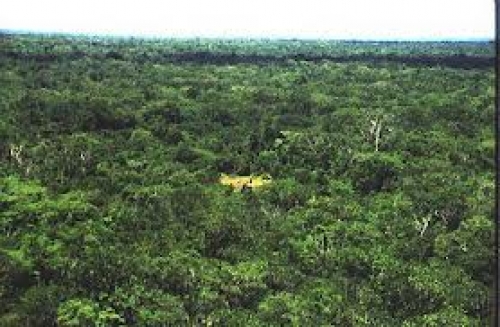 Dominicana desiste de privatizar parque natural 