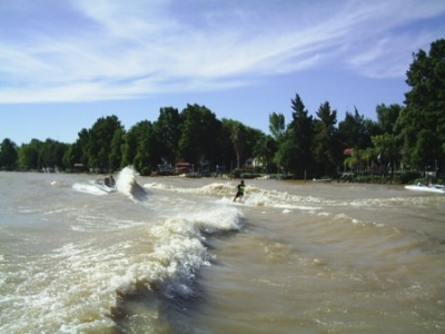Tigre vivi&oacute; su mejor temporada de verano de los &uacute;ltimos 5 a&ntilde;os