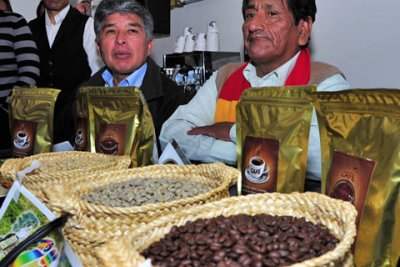 Caranavi será testigo del primer Festival Turístico del Café