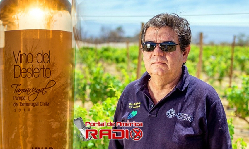 En Chile se producen excelentes vinos, tambi&eacute;n en el desierto...#PdaRadio25