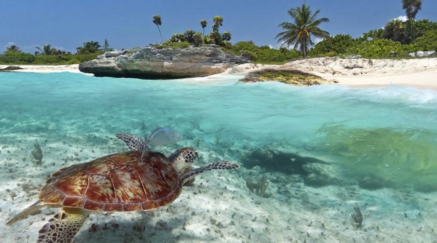 Cancún / Riviera Maya – Experiencias a medida